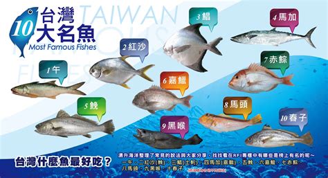 魚排名